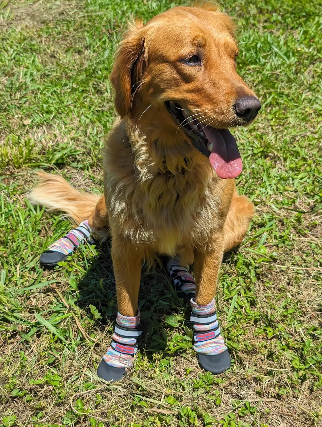 All Weather Neoprene Paw Protector Dog Boots with Reflective Straps in 5 Sizes! (Multicolor Small)