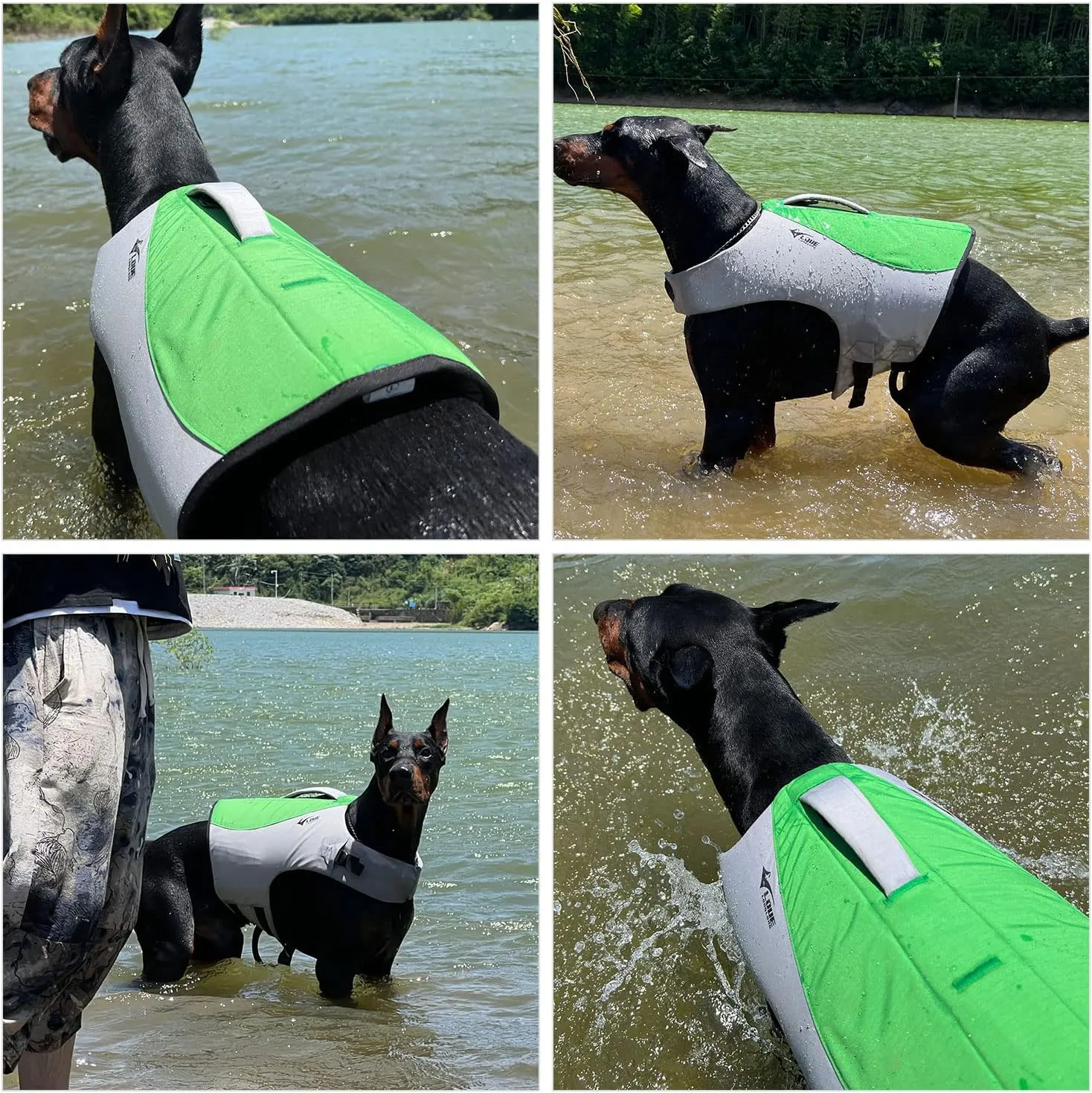 Dog Life Jacket, Sport Style Dog Float Coat with Excellent Buoyancy, Stylish Dog Swimming Safety Vest with Rescue Handle for Small Medium Large Dogs Green XS