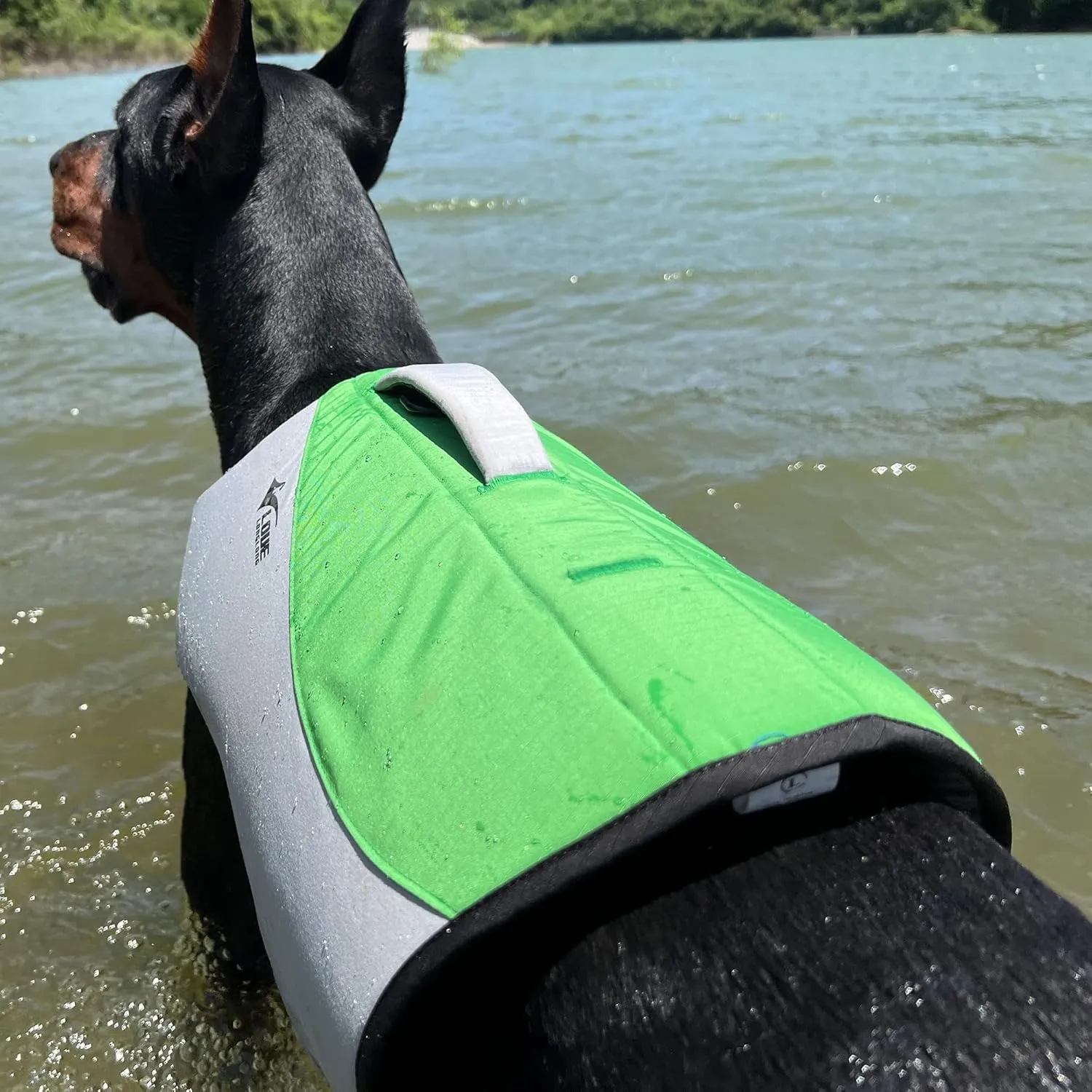 Dog Life Jacket, Sport Style Dog Float Coat with Excellent Buoyancy, Stylish Dog Swimming Safety Vest with Rescue Handle for Small Medium Large Dogs Green XS