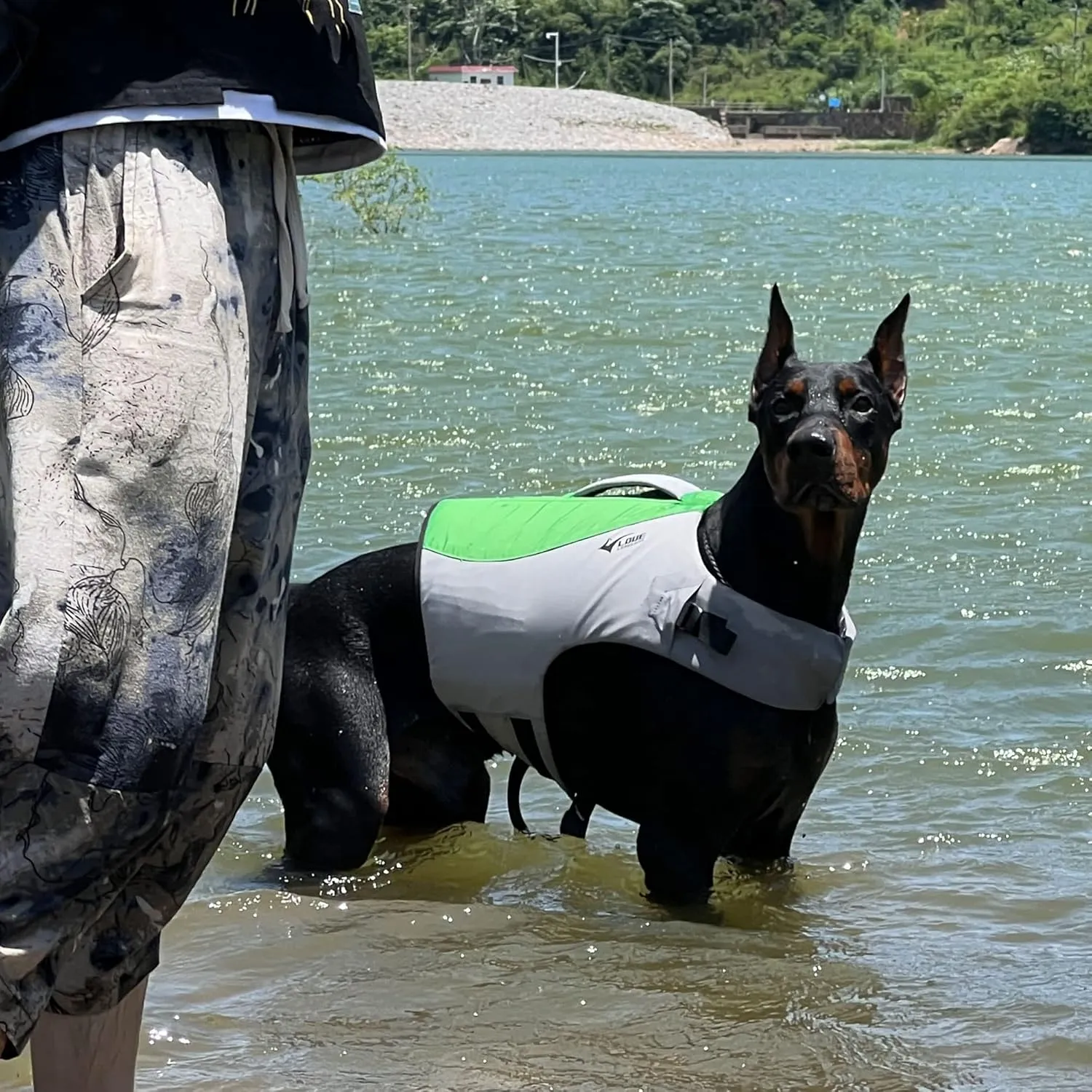 Dog Life Jacket, Sport Style Dog Float Coat with Excellent Buoyancy, Stylish Dog Swimming Safety Vest with Rescue Handle for Small Medium Large Dogs Green XS