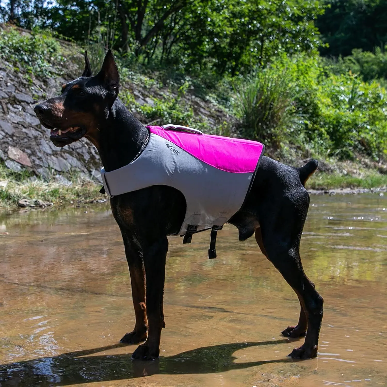 Dog Life Jacket, Sport Style Dog Float Coat with Excellent Buoyancy, Stylish Dog Swimming Safety Vest with Rescue Handle for Small Medium Large Dogs Rosered M