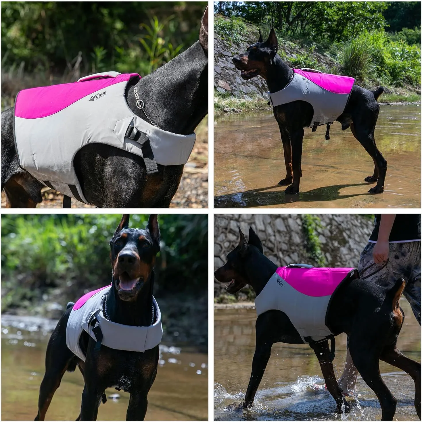 Dog Life Jacket, Sport Style Dog Float Coat with Excellent Buoyancy, Stylish Dog Swimming Safety Vest with Rescue Handle for Small Medium Large Dogs Rosered M