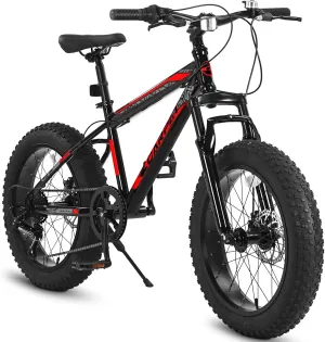 Ecarpat 20/24/26 Inch Fat Tire Mountain Bikes 7-Speed with Mechanical Disc Brakes Front Suspension, Mens Womens All Terrain Mountain Winter Snow Bicycles