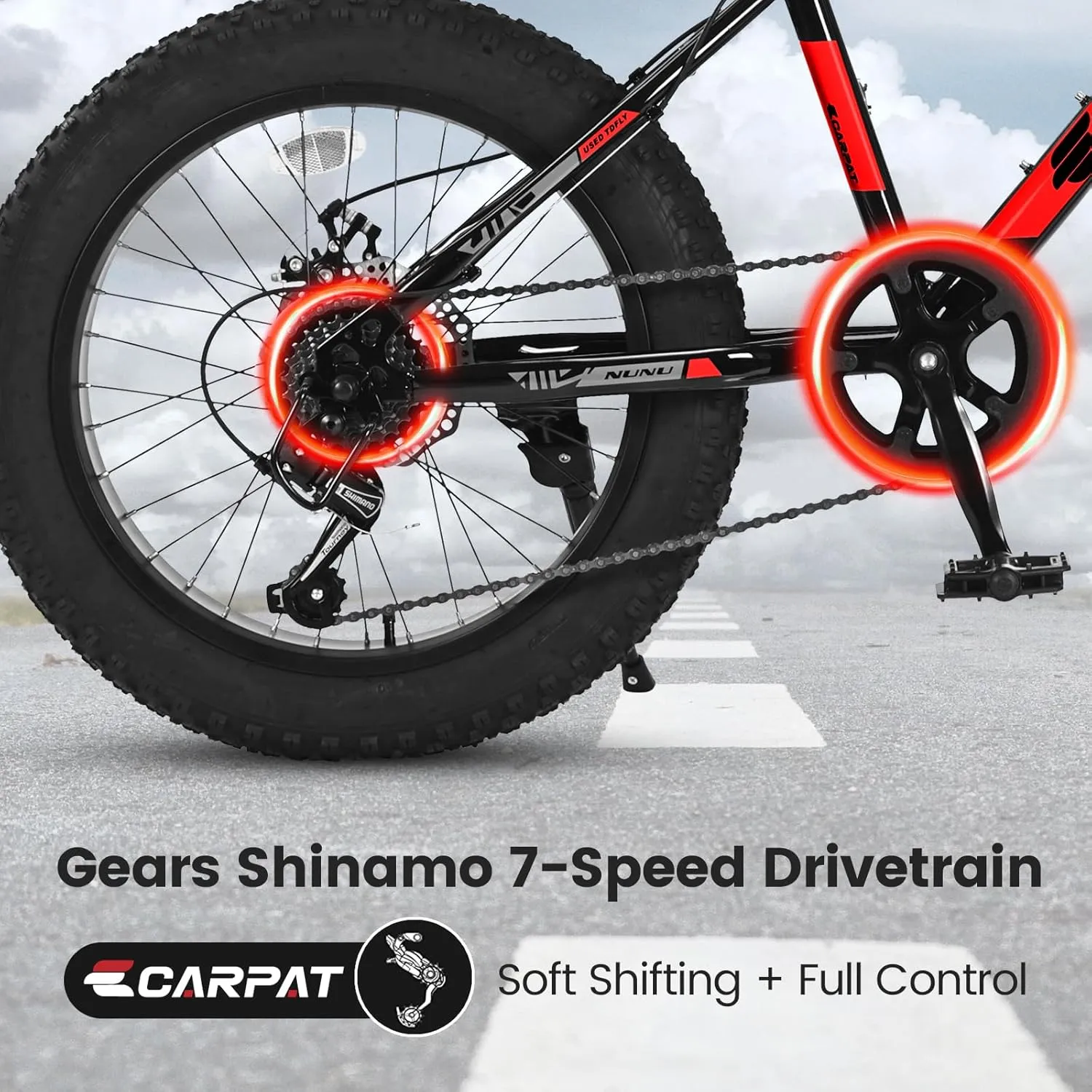 Ecarpat 20/24/26 Inch Fat Tire Mountain Bikes 7-Speed with Mechanical Disc Brakes Front Suspension, Mens Womens All Terrain Mountain Winter Snow Bicycles