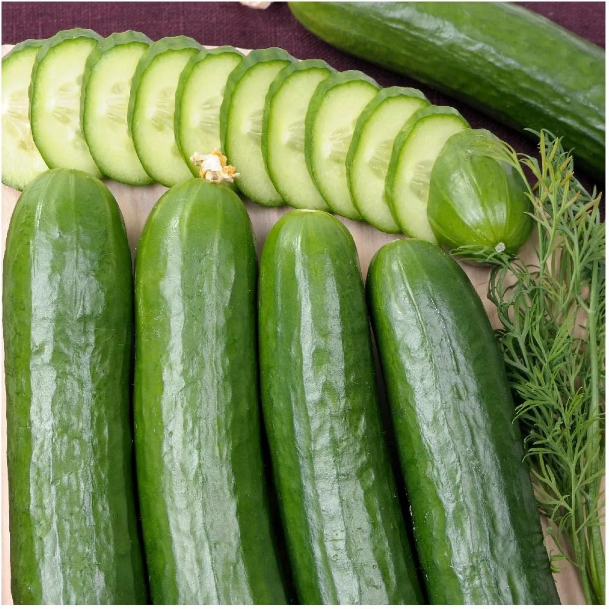 Everwilde Farms - 1 Lb Straight Eight Cucumber Seeds - Gold Vault