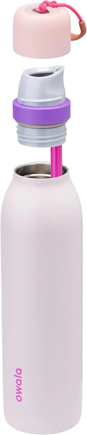 FreeSip Twist Insulated Stainless Steel Water Bottle with Straw for Sports and Travel, BPA-Free, 24-oz, Pink/Purple (Dreamy Field)