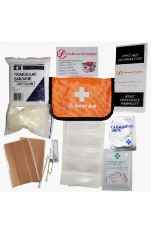 Hamills First Aid Kit - Wallet Size