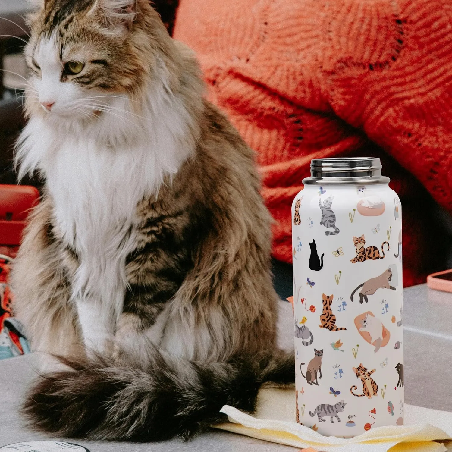 Insulated Water Bottle 32 oz, Cat Water Bottle with Straw and Lid, Reusable Leakproof Water Bottle Stainless Steel, Cat Lover Gifts for Women
