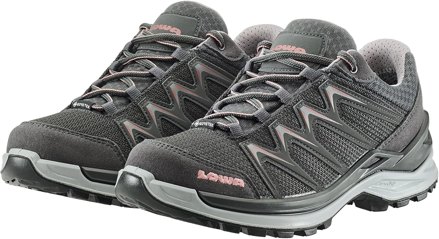 Lowa Adult Innox PRO GTX LO WS grau