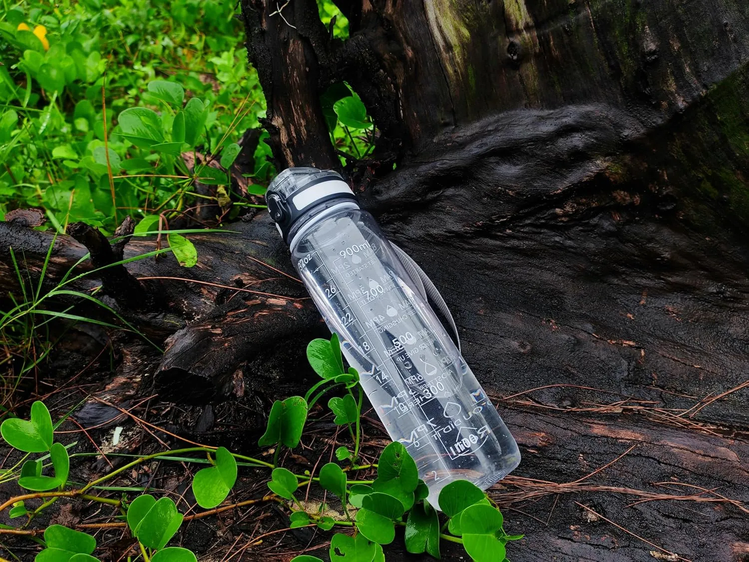 OLDLEY Water Bottle, 32oz Motivational Sports Water Bottle with Time Marker - Times to Drink - Tritan, BPA Free, Wide Mouth Leakproof, Clear (1 Bottle)