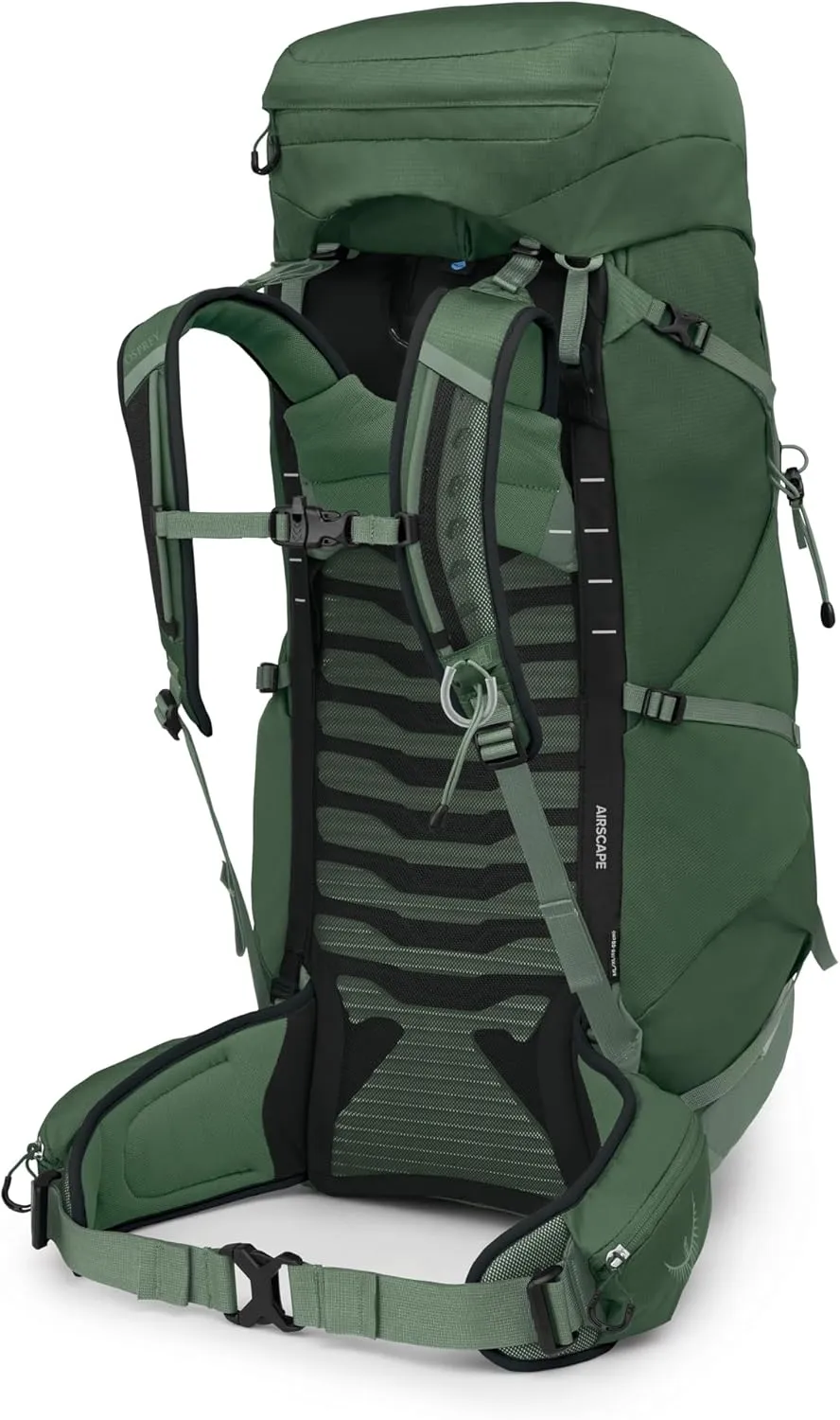 Osprey Talon 44L Men's Lightweight Hiking Backpack with Hipbelt, Green Canopy/Pine Leaf, L/XL