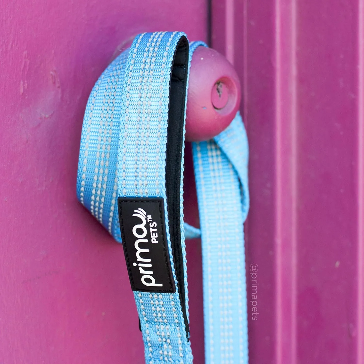 Reflective 6 Feet Nylon Dog Leash with Padded Double Handles, 1" Width, Aqua