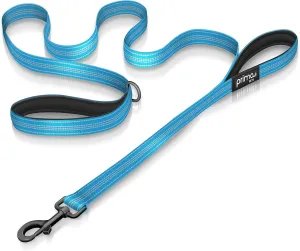Reflective 6 Feet Nylon Dog Leash with Padded Double Handles, 1" Width, Aqua