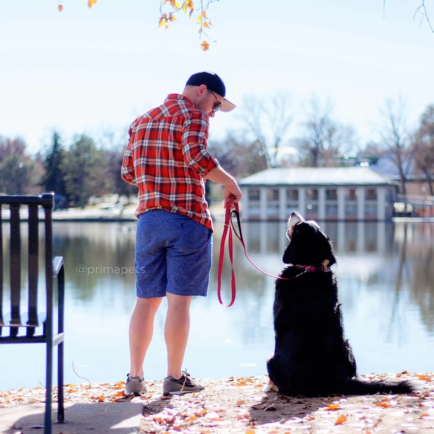 Reflective 6 Feet Nylon Dog Leash with Padded Double Handles, 1" Width, RED