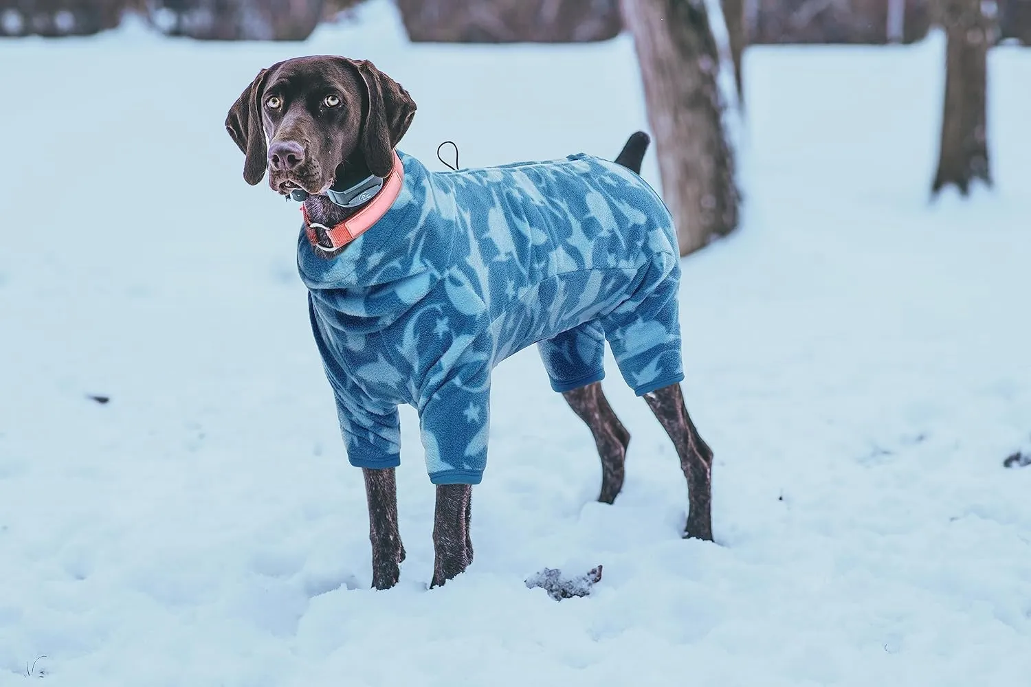 ROZKITCH Dog Winter Coat Soft Fleece Pullover Pajamas, Pet Windproof Warm Cold Weather Jacket Vest with Luminous Zipper, Jumpsuit Apparel Outfit Clothes for Small Medium Large Dog Shark M