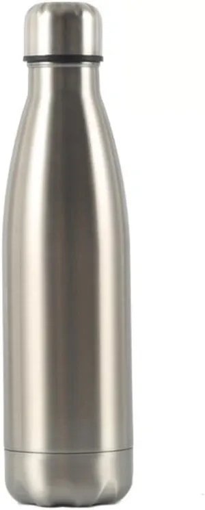Stainless Steel Kettle 500ML, Double-layer Sports Water Bottle, Suitable For Outdoor Cycling And Camping(SILVER)