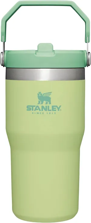 Stanley IceFlow Flip Straw Tumbler with Handle 20 oz | Twist On Lid and Flip Up Straw | Leak Resistant Water Bottle | Insulated Stainless Steel |BPA-Free | Citron