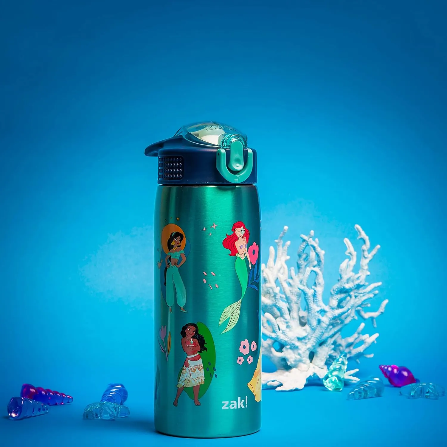 Zak Designs Disney Princess Water Bottle for Travel and At Home, 19 oz Vacuum Insulated Stainless Steel with Locking Spout Cover, Built-In Carrying Loop, Leak-Proof Design (Disney Princess)